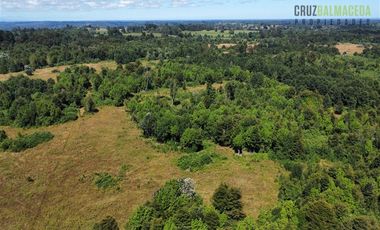 Agrícola en Venta en 22 hectareas a 20 minutos de Entrelagos y 15 minutos de la desembocadura del lago Rupanco