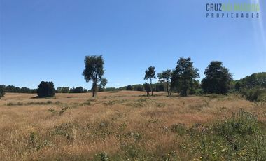 Agrícola en Venta en 22 hectareas a 20 minutos de Entrelagos y 15 minutos de la desembocadura del lago Rupanco