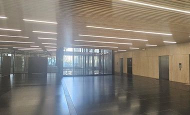 Local en Renta, Mariano Escobedo en Polanco. (F) Excelente Oportunidad!