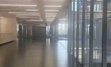 Local en Renta, Mariano Escobedo en Polanco. (F) Excelente Oportunidad!