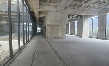 Local en Renta, Mariano Escobedo en Polanco. (F) Excelente Oportunidad!