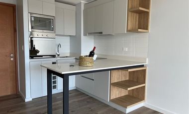 Departamento en Arriendo en Manuel Montt 10, Llanquihue