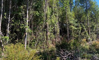 VENDO PARCELA EN MADEROS DE PUERTO VARAS 3