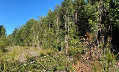 VENDO PARCELA EN MADEROS DE PUERTO VARAS 3