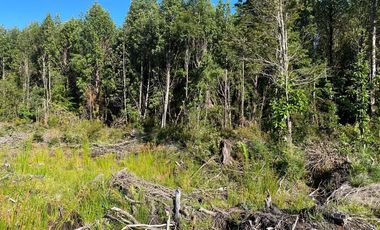VENDO PARCELA EN MADEROS DE PUERTO VARAS 3