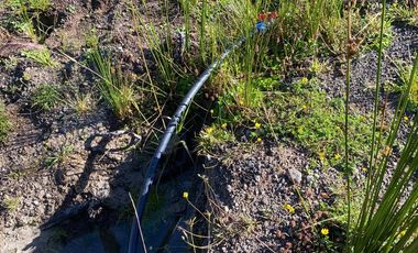 VENDO PARCELA EN MADEROS DE PUERTO VARAS 3