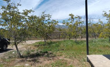 REQUINOA REGIA CASA PARCELA LOS NOGALES EL TRIGAL CHUMACO SEXTA REGION O'HIGGINS