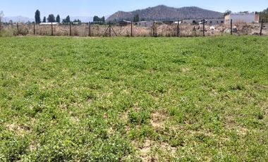 REQUINOA REGIA CASA PARCELA LOS NOGALES EL TRIGAL CHUMACO SEXTA REGION O'HIGGINS