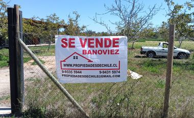 REQUINOA REGIA CASA PARCELA LOS NOGALES EL TRIGAL CHUMACO SEXTA REGION O'HIGGINS
