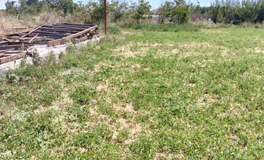 REQUINOA REGIA CASA PARCELA LOS NOGALES EL TRIGAL CHUMACO SEXTA REGION O'HIGGINS