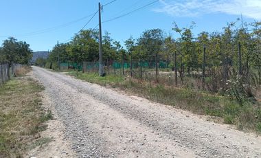 REQUINOA REGIA CASA PARCELA LOS NOGALES EL TRIGAL CHUMACO SEXTA REGION O'HIGGINS