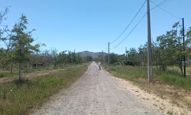 REQUINOA REGIA CASA PARCELA LOS NOGALES EL TRIGAL CHUMACO SEXTA REGION O'HIGGINS