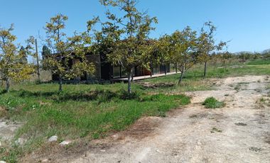 REQUINOA REGIA CASA PARCELA LOS NOGALES EL TRIGAL CHUMACO SEXTA REGION O'HIGGINS