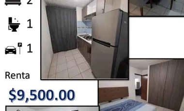 Departamento en renta en Hidalgo del Valle, León, Guanajuato