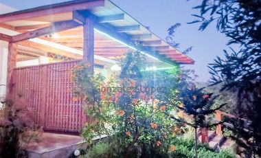 Parcela en Arriendo en Lote G-A-2 y Lote G-A-5, El Copado