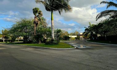Terreno Venta en Puerta de Agua, El Paraíso, Progreso, Yucatán.