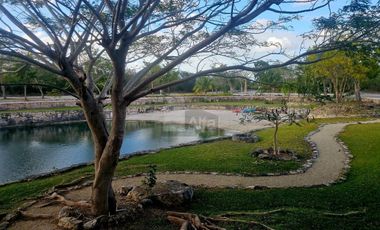 Terreno Venta en Puerta de Agua, El Paraíso, Progreso, Yucatán.