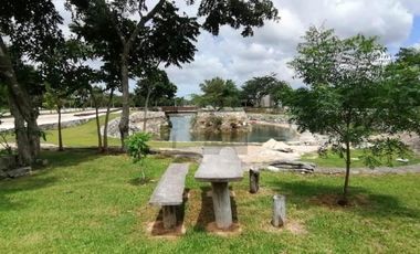Terreno Venta en Puerta de Agua, El Paraíso, Progreso, Yucatán.