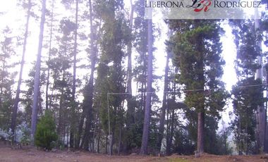 Parcela en Arriendo en Terreno en zona productiva portuaria de Placilla