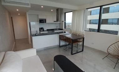 Departamento en Alquiler, 2 Ambientes, Amoblado, en Brickell, Tigre, Gba Norte