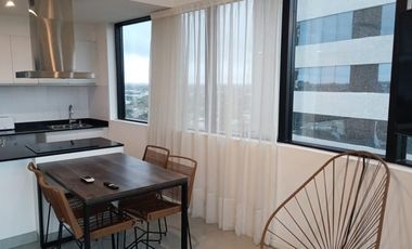 Departamento en Alquiler, 2 Ambientes, Amoblado, en Brickell, Tigre, Gba Norte