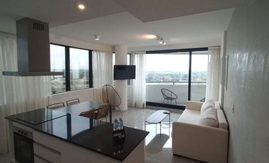 Departamento en Alquiler, 2 Ambientes, Amoblado, en Brickell, Tigre, Gba Norte