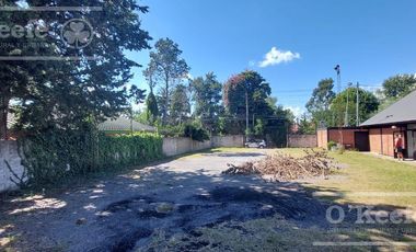 LOCAL COMERCIAL  EN ALQUILER - 300M2- RANELAGH - BERAZATEGUI