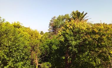 DPTO 3 AMB. TIGRE CENTRO