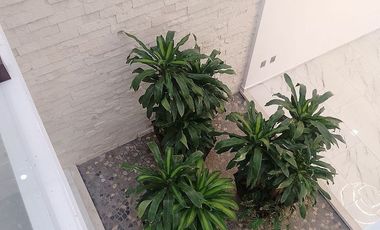 Casa en Venta, Paraíso Country Club, 4 Recamaras