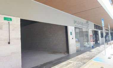 LOCALES COMERCIALES EN PLAZA EN CAMPANARIO NORTE