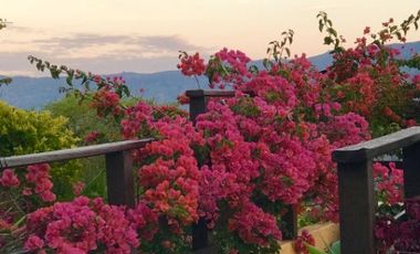 FINCA EN ARRIENDO UBICADA EN COPACABANA SECTOR VEREDA LA VETA