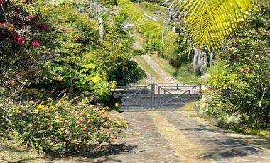 FINCA EN ARRIENDO UBICADA EN COPACABANA SECTOR VEREDA LA VETA