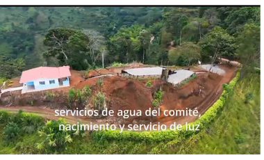 VENTA DE FINCA EN BUENAVISTA QUINDIO