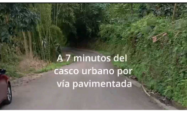 VENTA DE FINCA EN BUENAVISTA QUINDIO