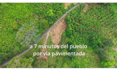 VENTA DE FINCA EN BUENAVISTA QUINDIO