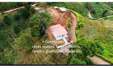 VENTA DE FINCA EN BUENAVISTA QUINDIO