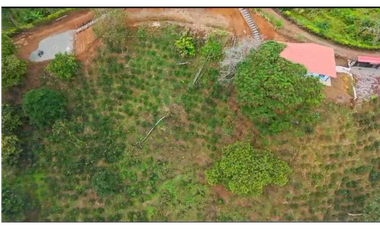 VENTA DE FINCA EN BUENAVISTA QUINDIO
