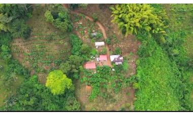 VENTA DE FINCA EN BUENAVISTA QUINDIO