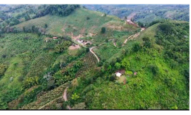 VENTA DE FINCA EN BUENAVISTA QUINDIO