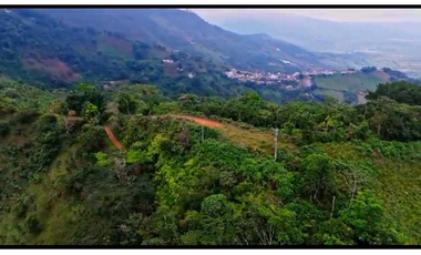VENTA DE FINCA EN BUENAVISTA QUINDIO
