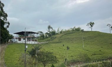 VENDO FINCA GANADERA EN ARABIA, CERCA DE PEREIRA
