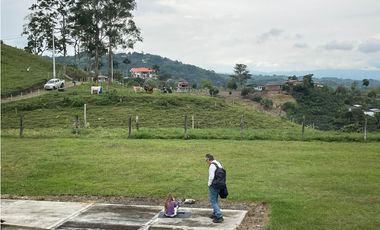 VENDO FINCA GANADERA EN ARABIA, CERCA DE PEREIRA