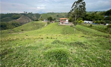 VENDO FINCA GANADERA EN ARABIA, CERCA DE PEREIRA
