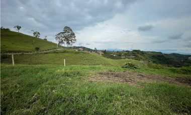 VENDO FINCA GANADERA EN ARABIA, CERCA DE PEREIRA