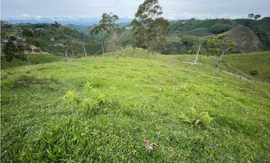 VENDO FINCA GANADERA EN ARABIA, CERCA DE PEREIRA