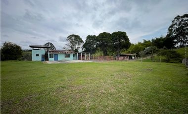 VENDO FINCA GANADERA EN ARABIA, CERCA DE PEREIRA