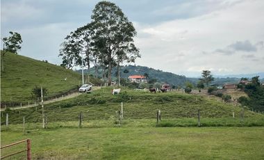 VENDO FINCA GANADERA EN ARABIA, CERCA DE PEREIRA