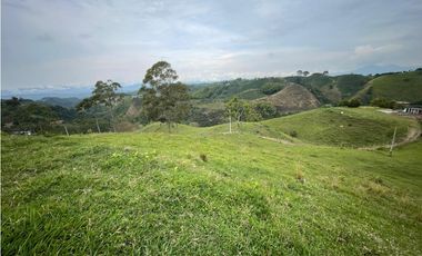 VENDO FINCA GANADERA EN ARABIA, CERCA DE PEREIRA
