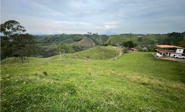 VENDO FINCA GANADERA EN ARABIA, CERCA DE PEREIRA
