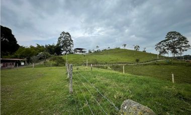 VENDO FINCA GANADERA EN ARABIA, CERCA DE PEREIRA